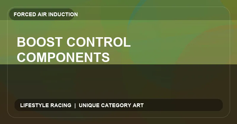 Boost Control Components